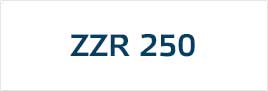 Kawasaki ZZR 250 logos decals, stickers and graphics