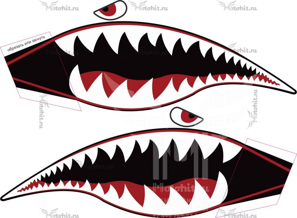 Shark в„–1 - MXG.ONE - Best moto decals