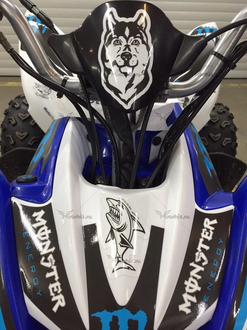 Decals for Yamaha YFM-250 RAPTOR-MONSTER-BLUE 2008-2014 - Image 4
