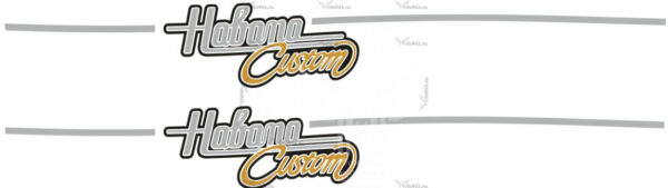 Decals for scooter Aprilia_habana-Custom-50-2001-2006