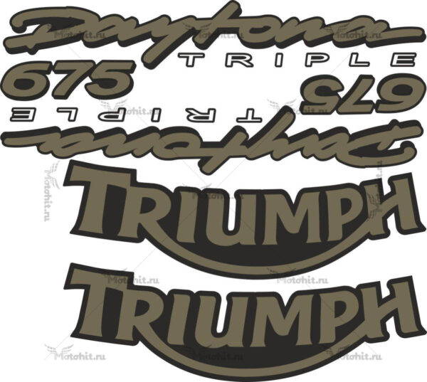 Decals for DAYTONA-675 2006 TRIUMPH-GOLD