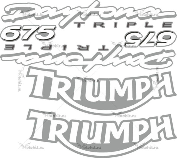 Decals for DAYTONA-675 2006 TRIUMPH-SILVER