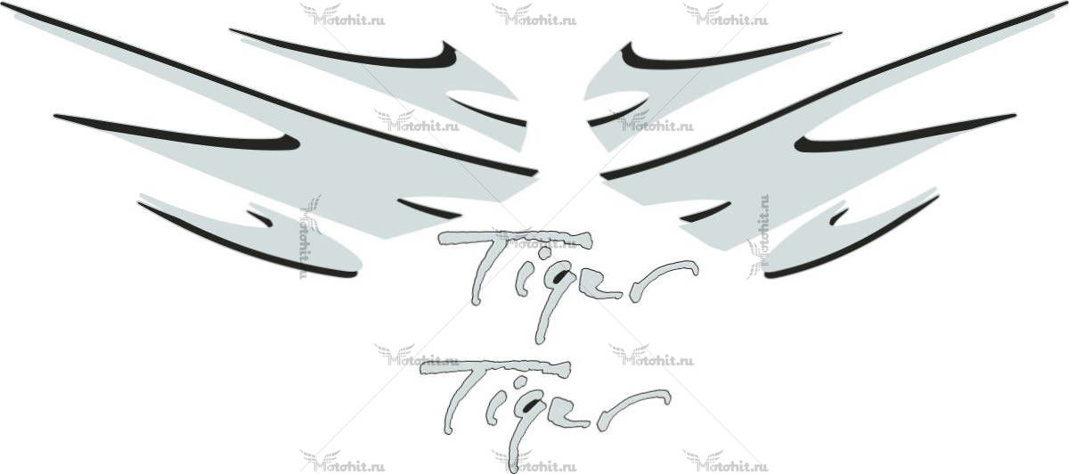 Decals for TRIUMPH-955I 1999