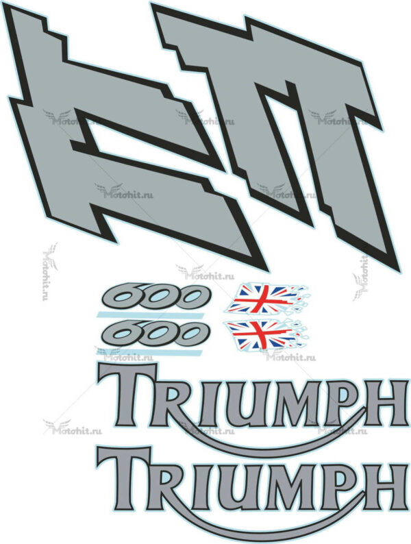 Decals for DAYTONA TRIUMPH TT-600-2