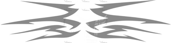 Decals for tank Honda VTX-1800-f1 2005