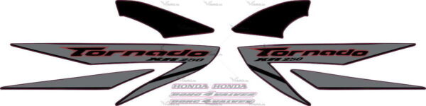 Decals for Honda XR-250 2007 SILVER
