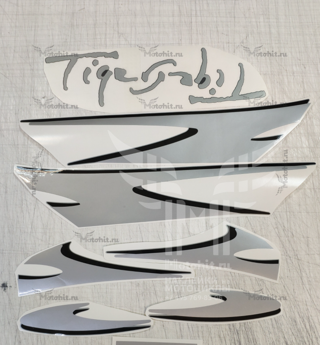 Decals for TRIUMPH-955I 1999 - Image 2