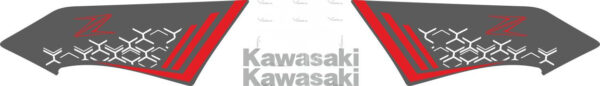 Decals for KAWASAKI Z-650 2020