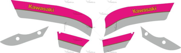Decals for Kawasaki ZRX-1100 1999