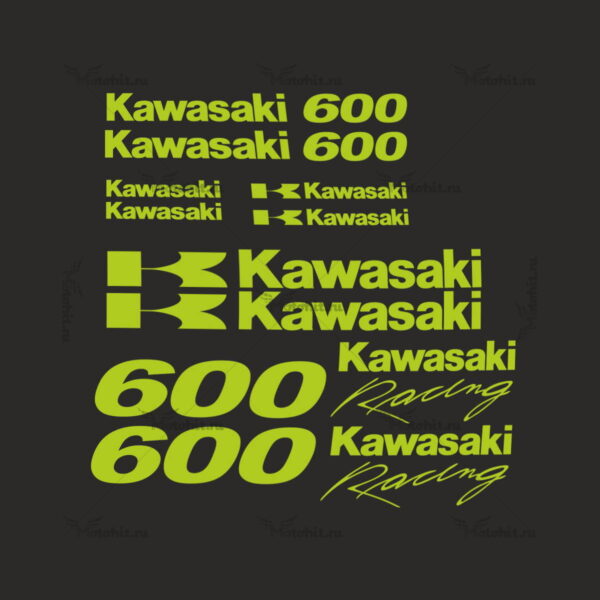 Decals for Kawasaki ZZR-600 3