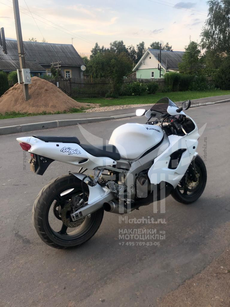 Decals for Kawasaki ZX-9R 2003 - Image 2